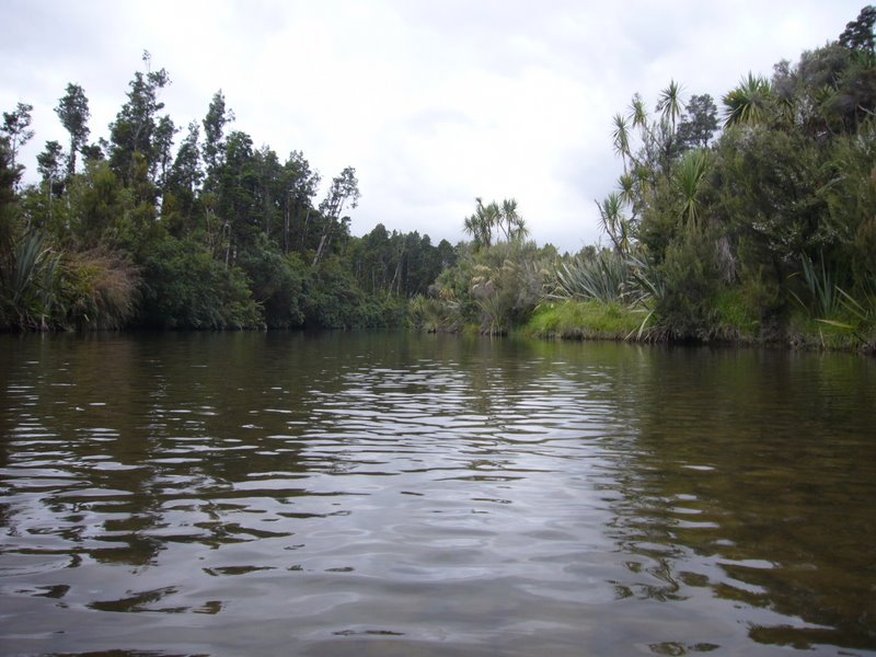 Travel - New Zealand - West Coast - Okarito
